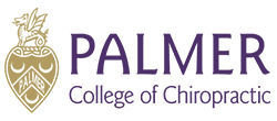 New 8 Palmer