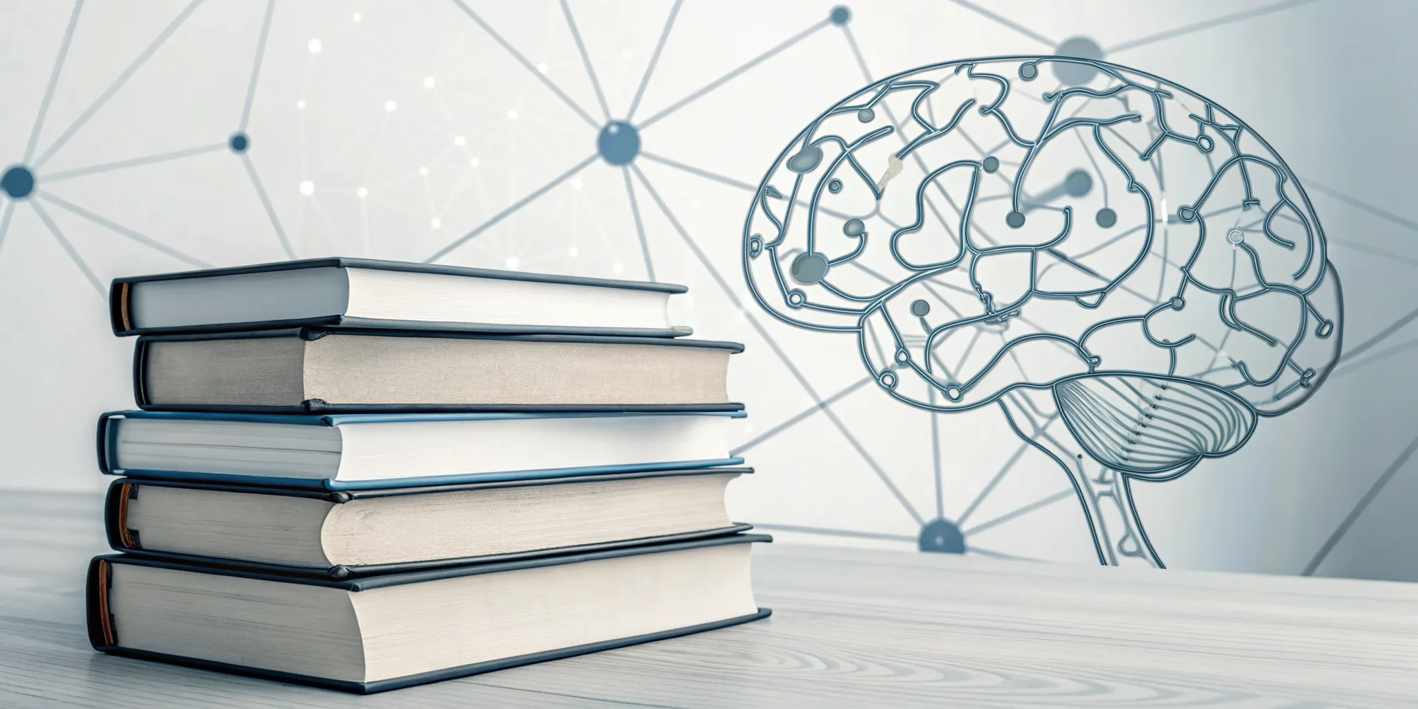 Reading Genius® 3.0 Blog 15 A digital brain and books for a guide to brain training and reading faster.